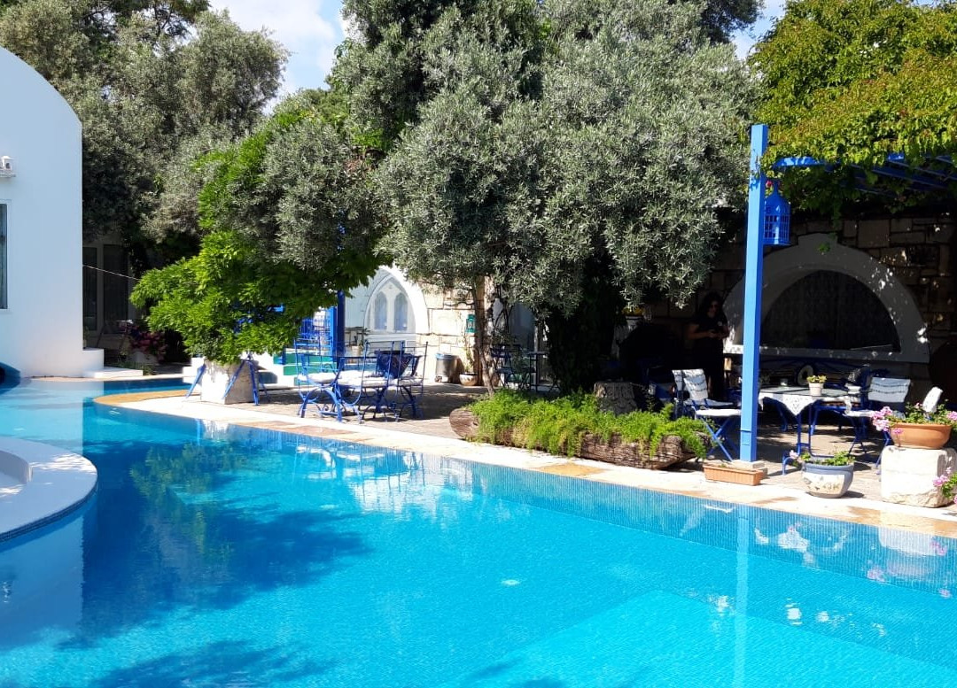 Villa Oliva Butik Hotel主图
