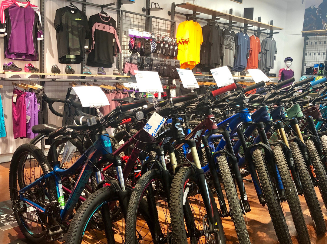 Alpine Bike Works-基灵顿必去景点