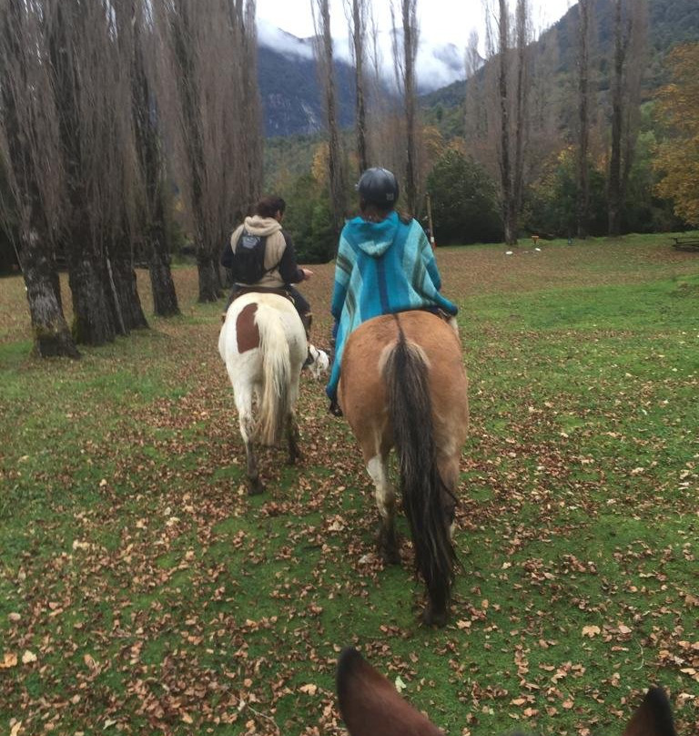 Ecoturismo la Pancha-Puerto Aisen必去景点