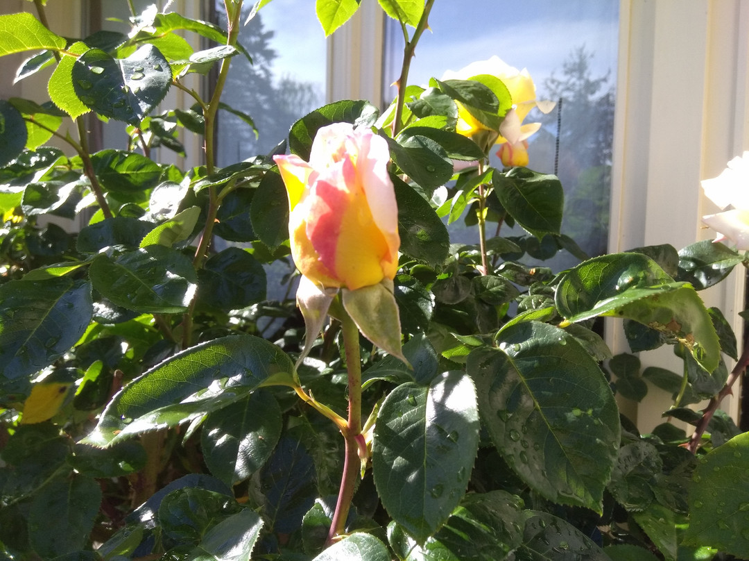 La Grange Dîmiere主图