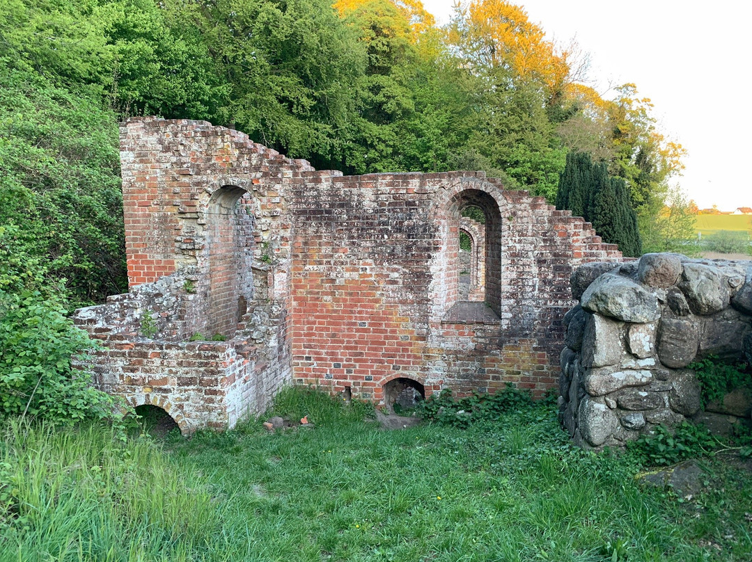 Antvorskov Kloster og Slotsruin景点图片