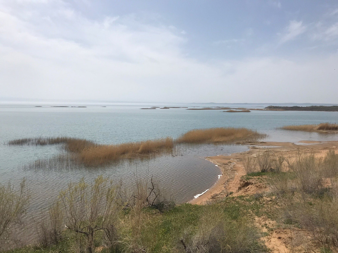 Aydar Lake-Jizzakh Province必去景点