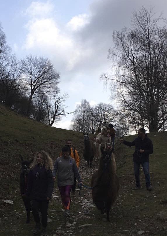 Passeggiata con i Lama-Blessagno必去景点