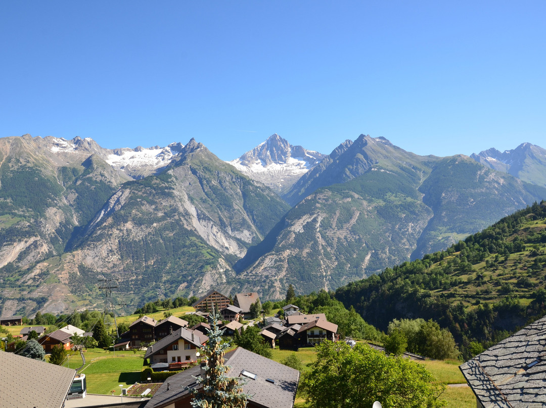 Hotel Alpenhof主图