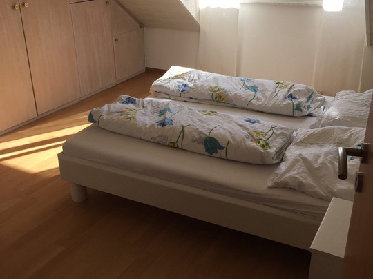 Appenweier酒店住宿-Gäestehaus Adler