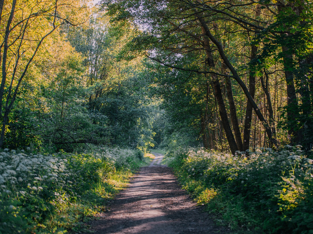 Nordic Swan Cruises-赫尔辛基必去景点