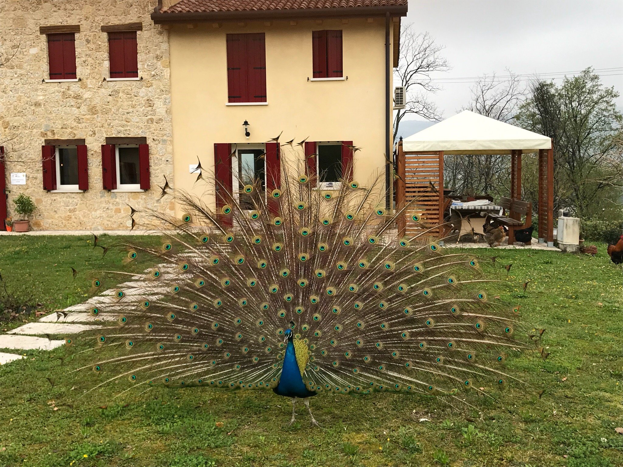 Lemire Azienda Agricola-官方