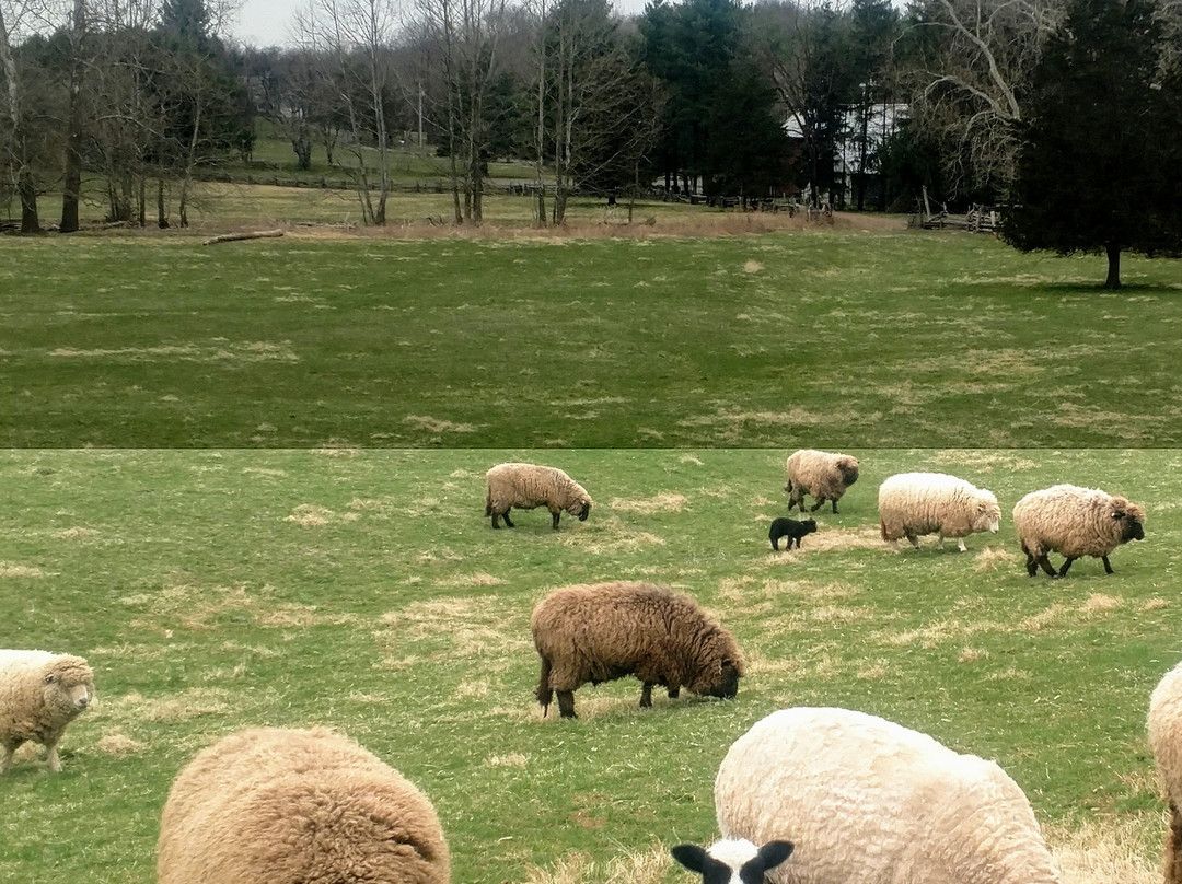 Howell Living History Farm-Lambertville必去景点