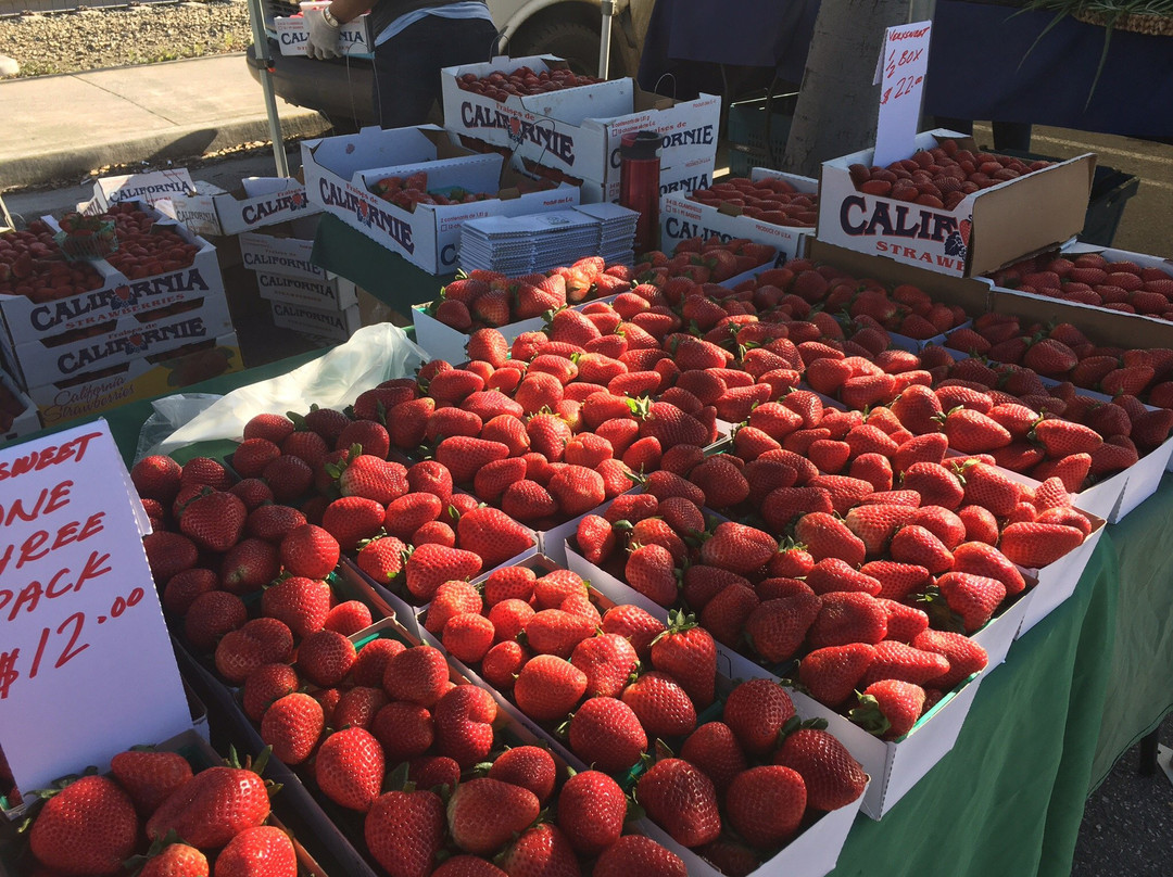 Mountain View Farmers Market-山景城必去景点