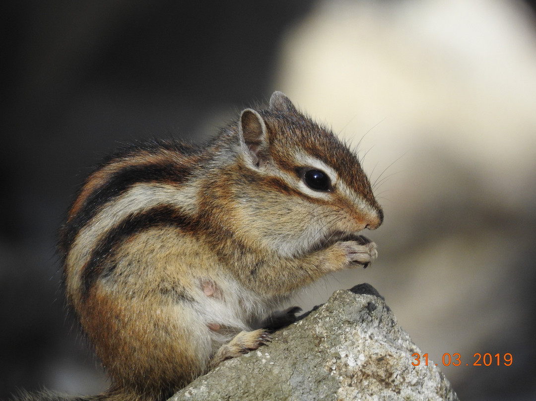 Sinbulsan Falls Recreational Forest-蔚山必去景点
