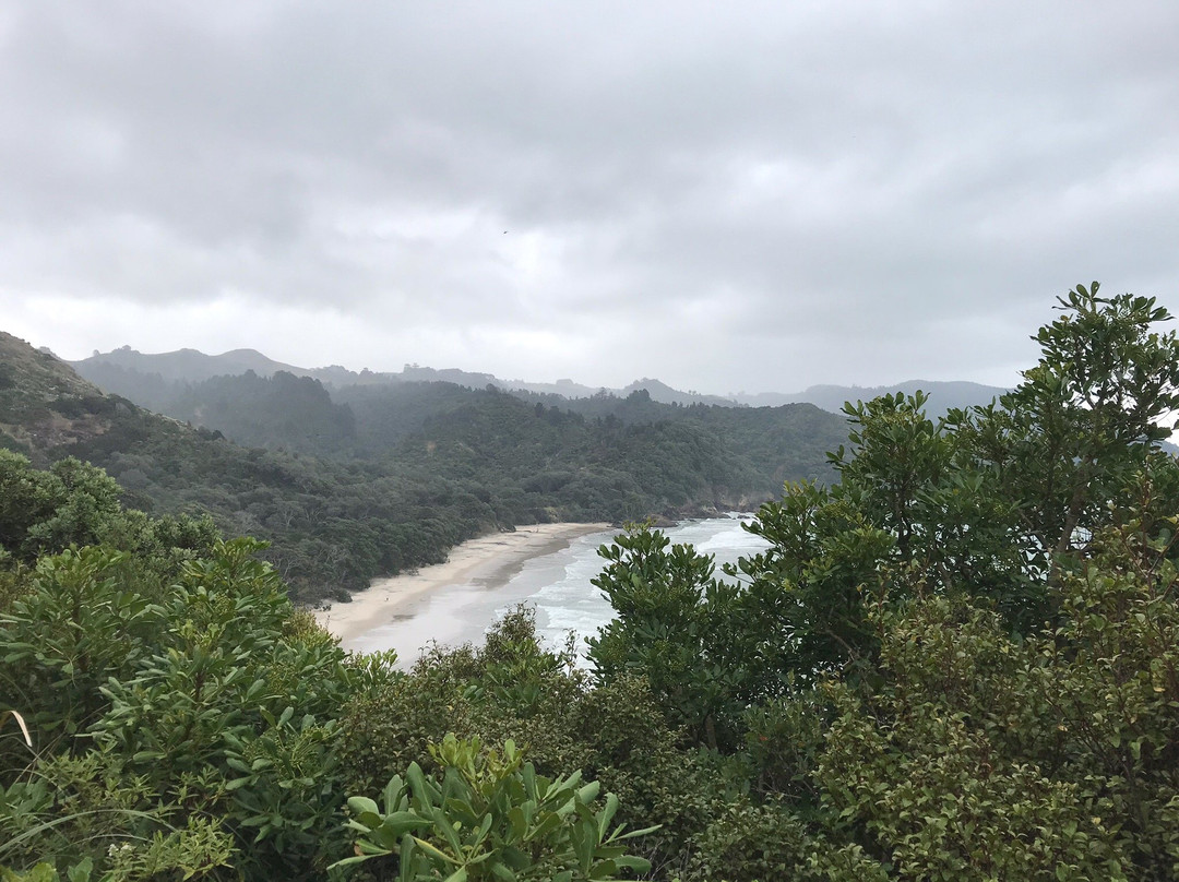 Orokawa Scenic Reserve景点图片