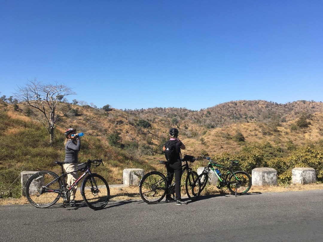 Lets Trip Cycle Tours景点图片