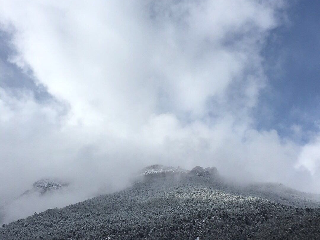静谧小应客栈(稻城亚丁景区游客中心店)主图