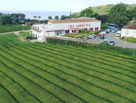 Descubrazores-蓬塔德尔加达必去景点