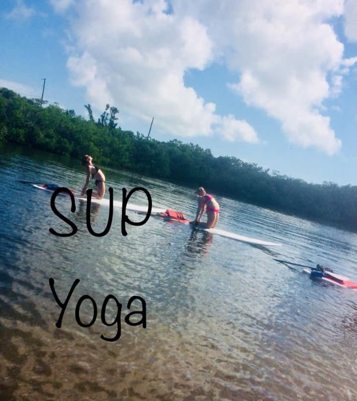 Katie's Paddle Boarding Adventures景点图片