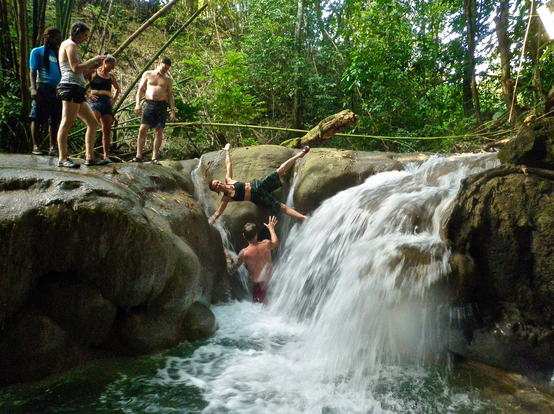 Rivertide Aikikai Jamaica Retreats景点图片