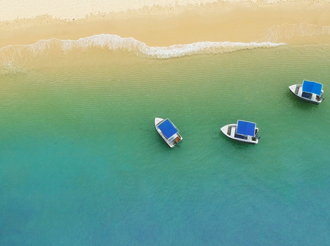 Adventure Moreton Island景点图片