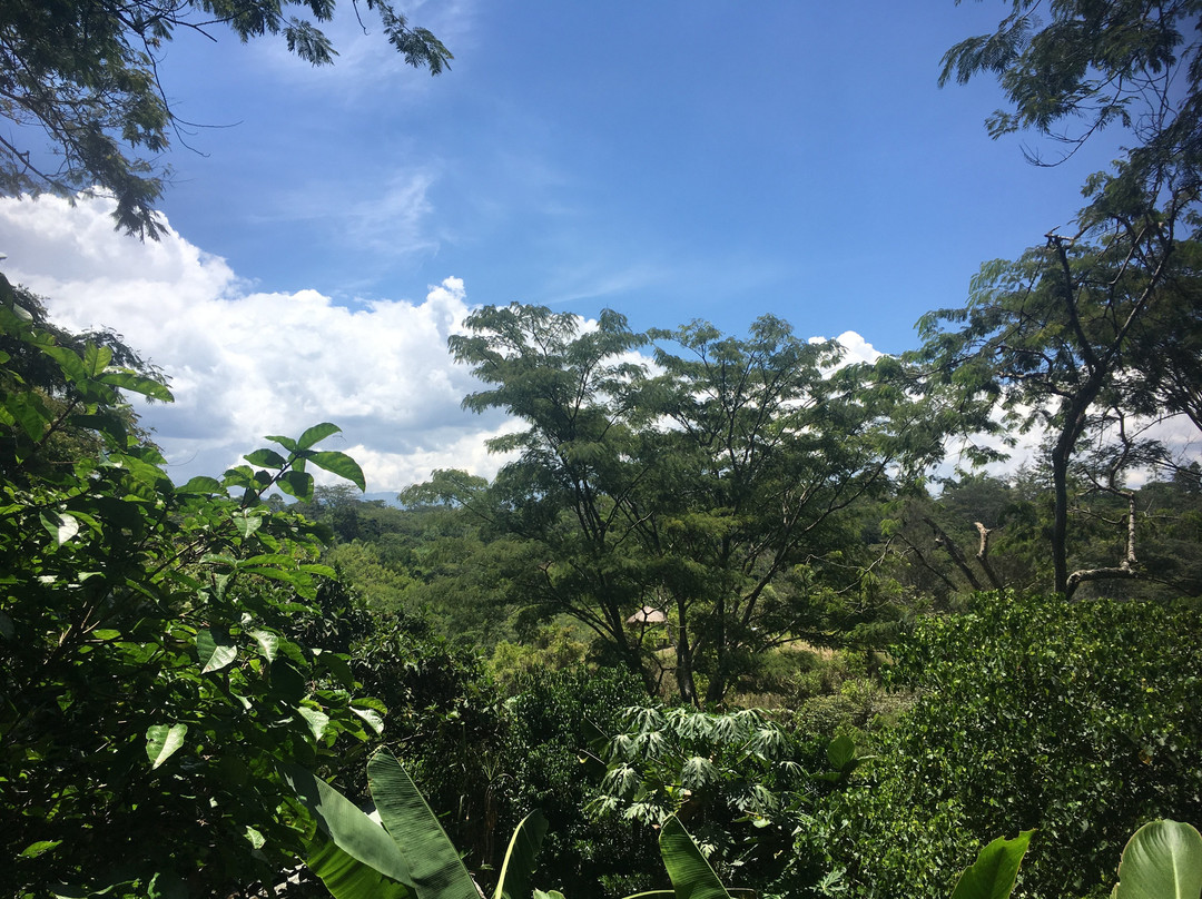 Goroka Natural Habitat景点图片