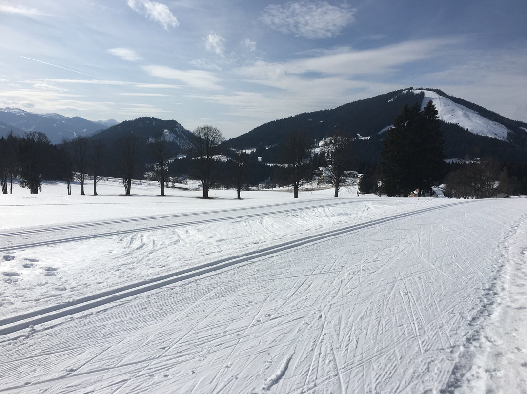 Alpincenter Dachstein, Ski- & Langlaufschule-阮绍必去景点