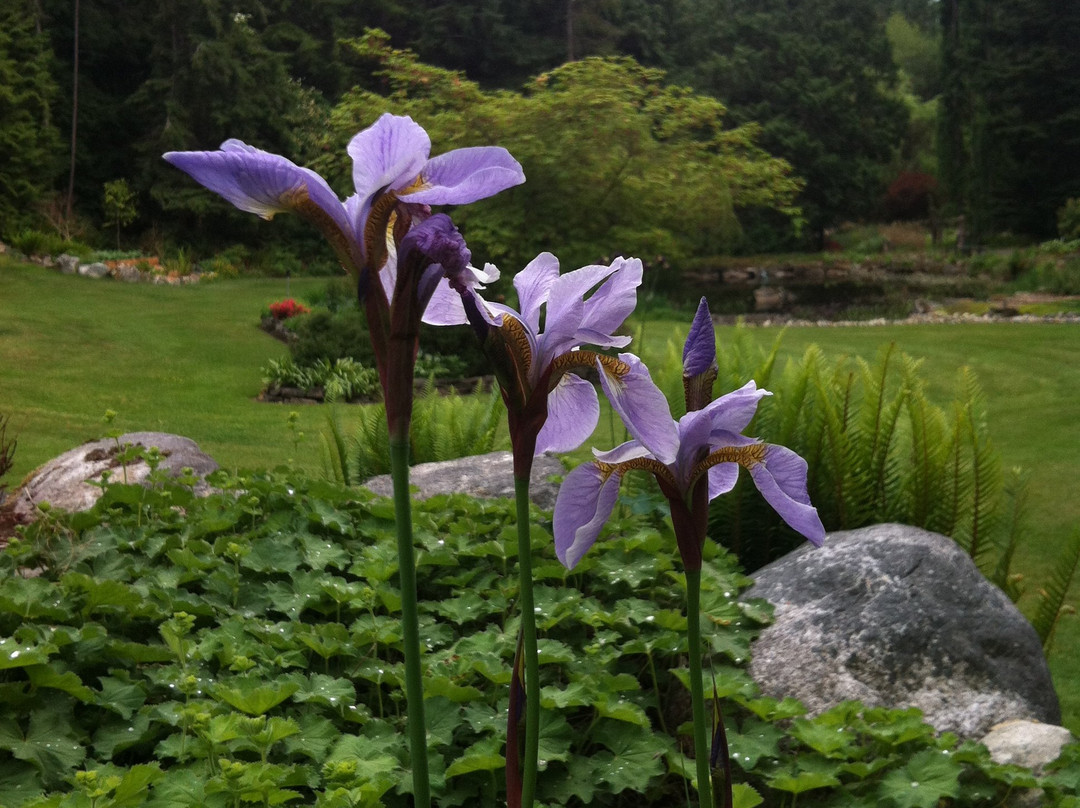 Wildflower Cottages主图