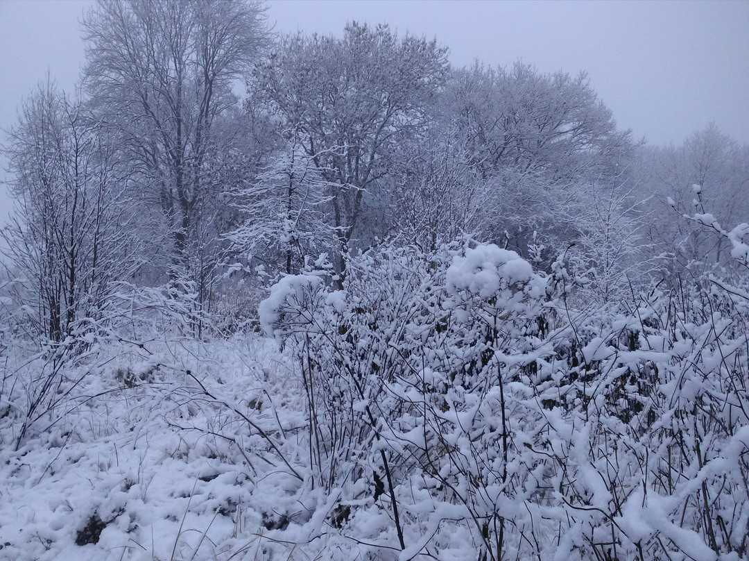 Whitworth Park-曼彻斯特必去景点