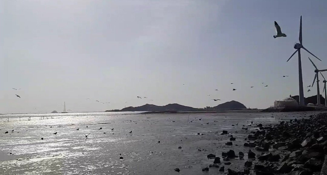 济扶岛-华城市必去景点