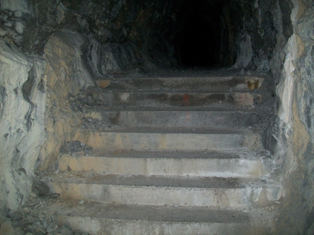 Bunker di Opicina景点图片