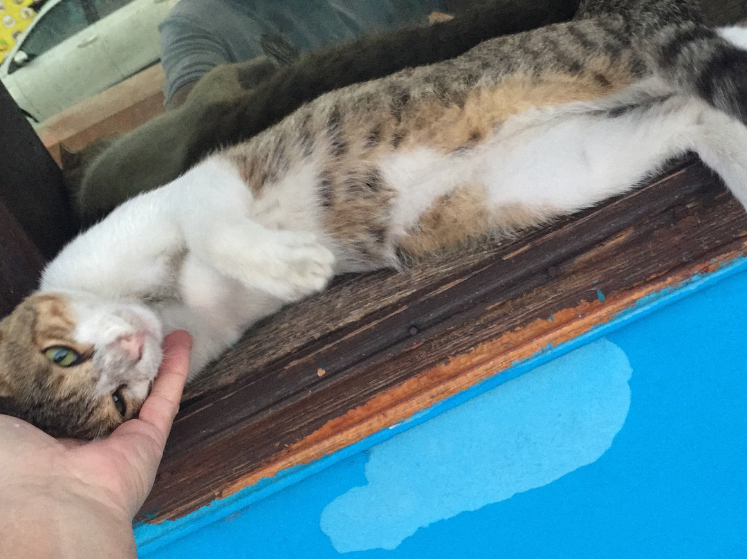 Central Fish Market-吉达必去景点