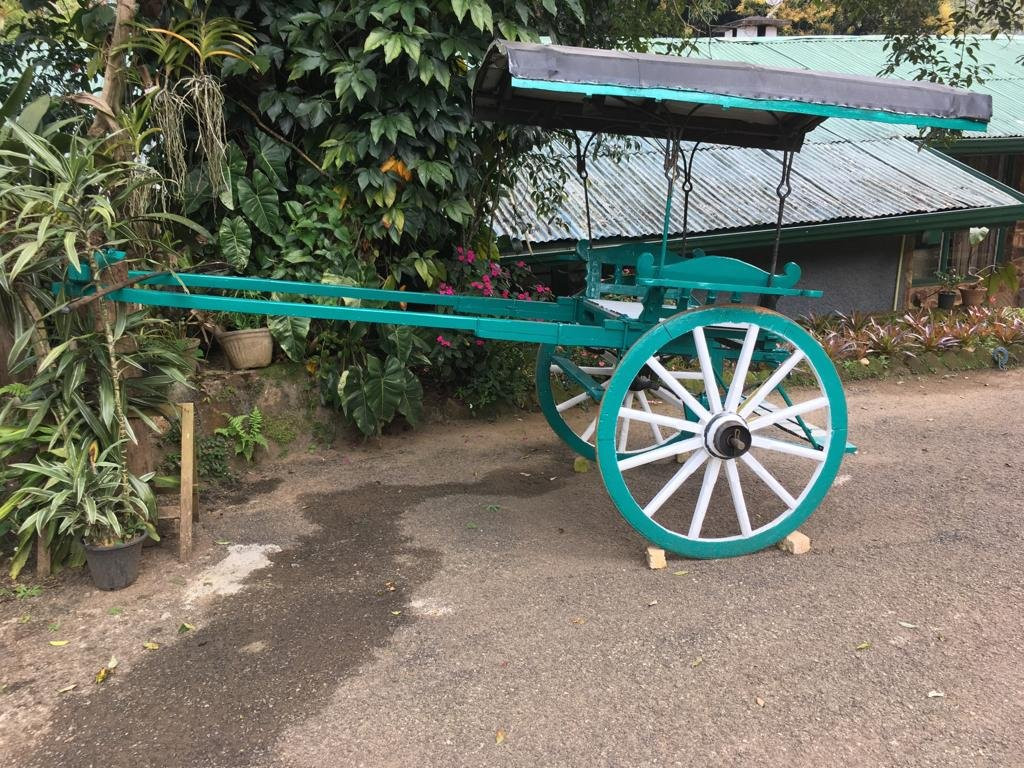 Micklefield Bungalow主图