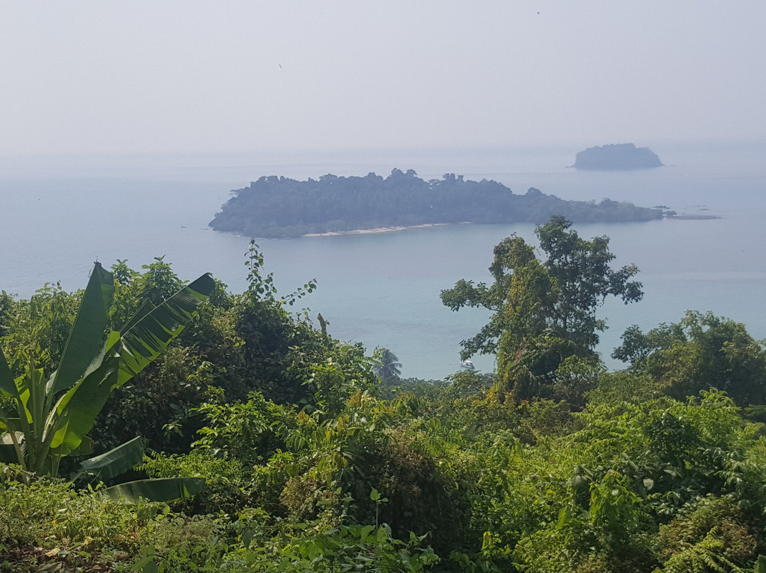 Laguna Beach House主图