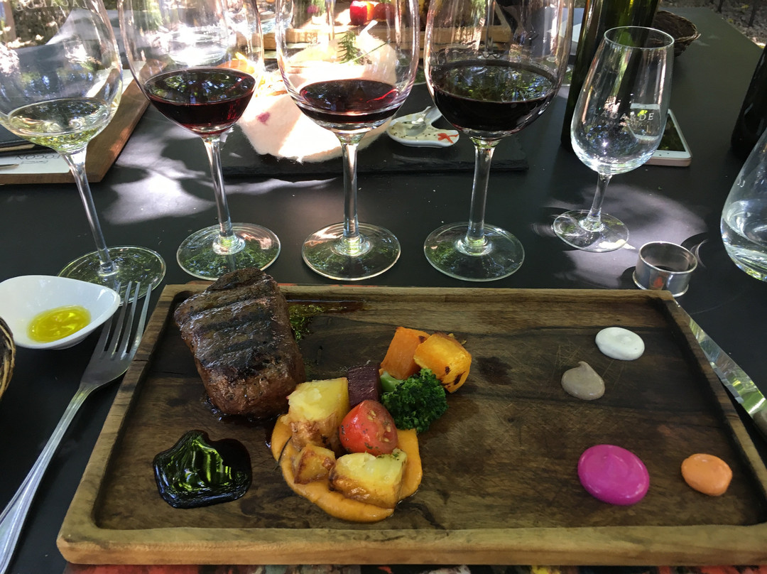 Vintuition Tours-门多萨必去景点