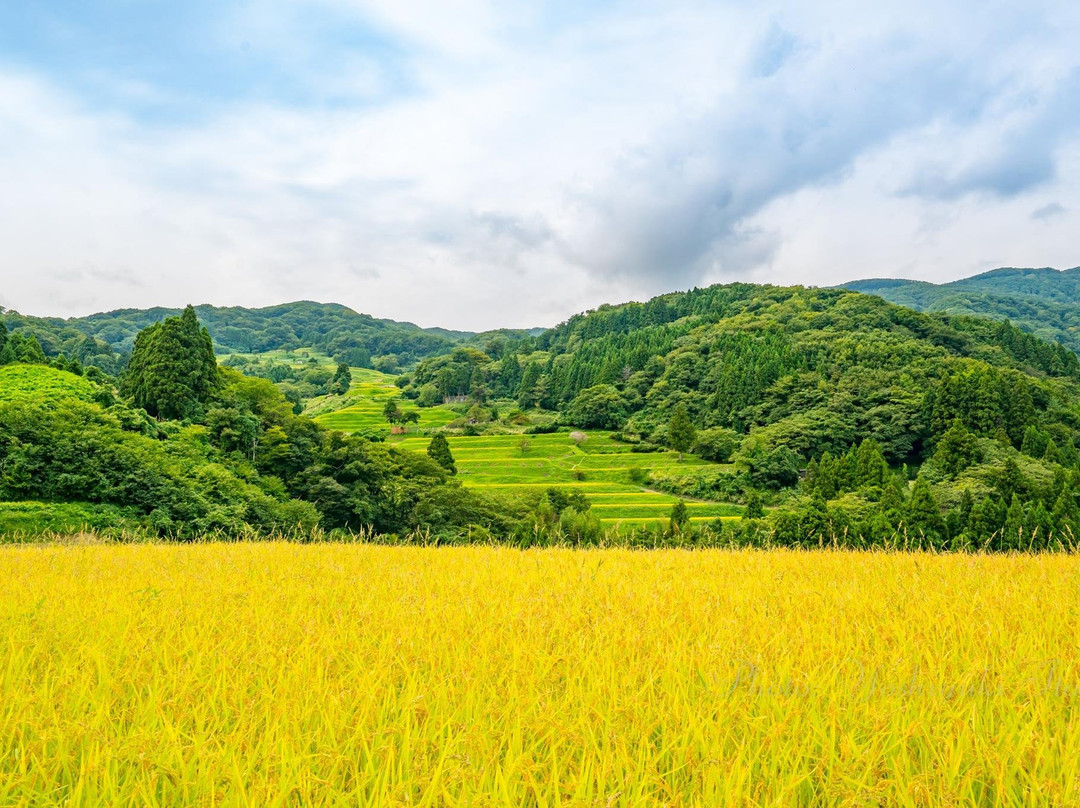 Iwakubi Shoryu Tanada-佐渡市必去景点
