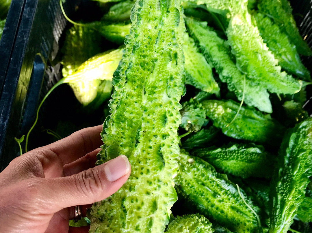 Laguna Niguel Farmer’s Market-拉古纳尼格必去景点