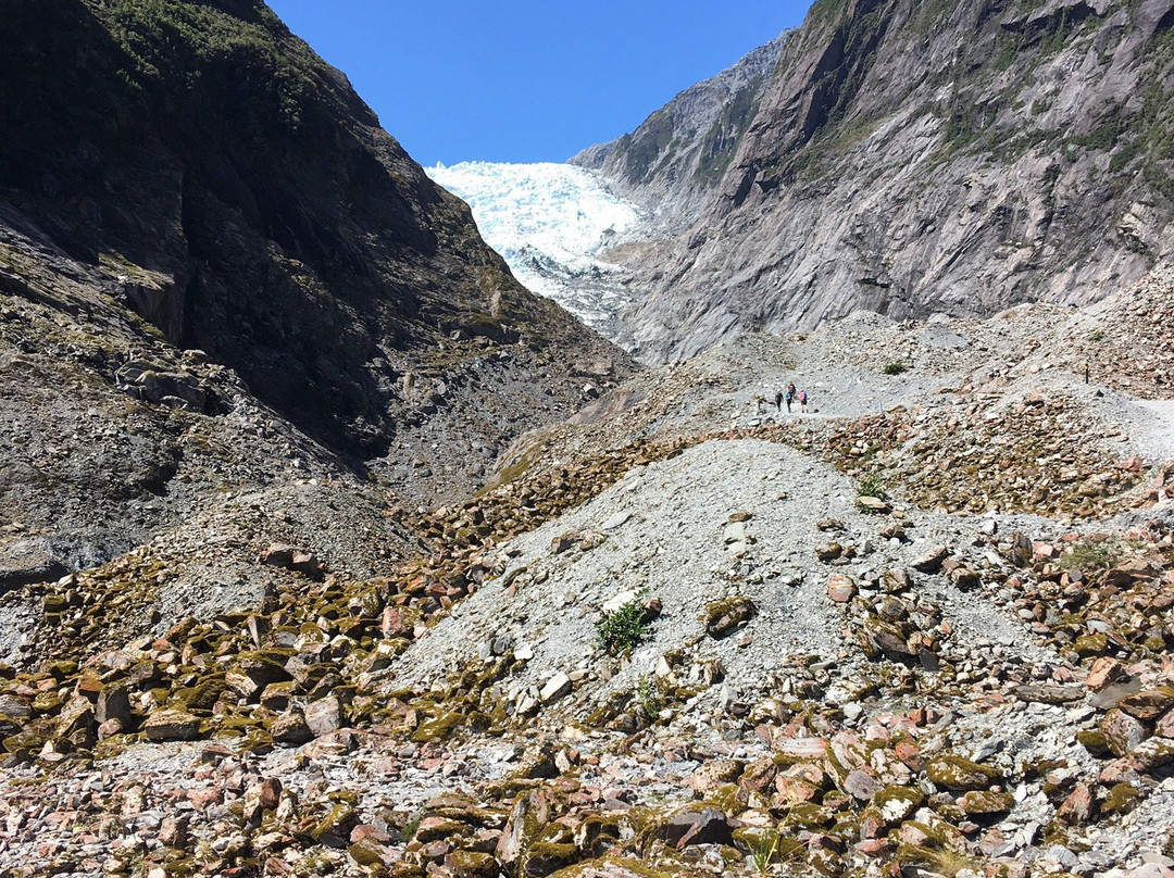 Franz Josef Alpine Lodge主图