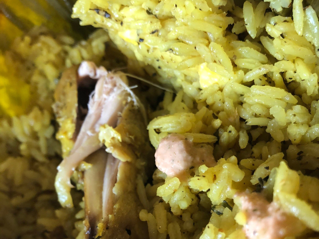 El Encanto de la Selva - Lince