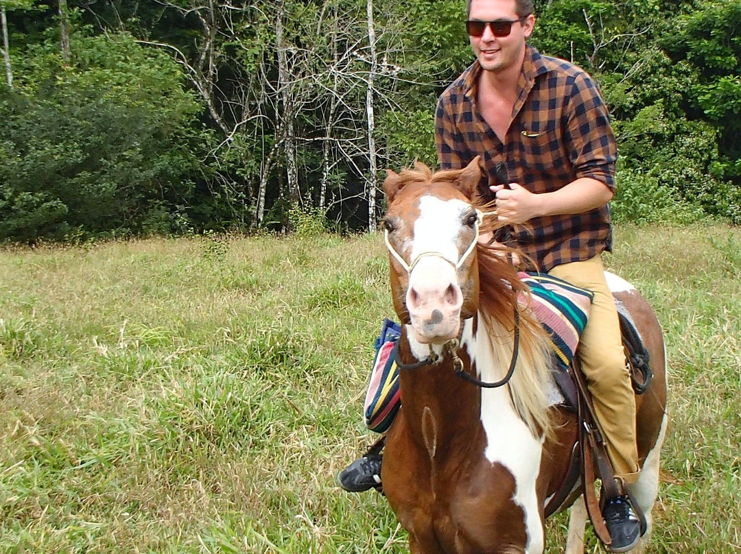 Centaura- Day Horseback Riding Tours景点图片