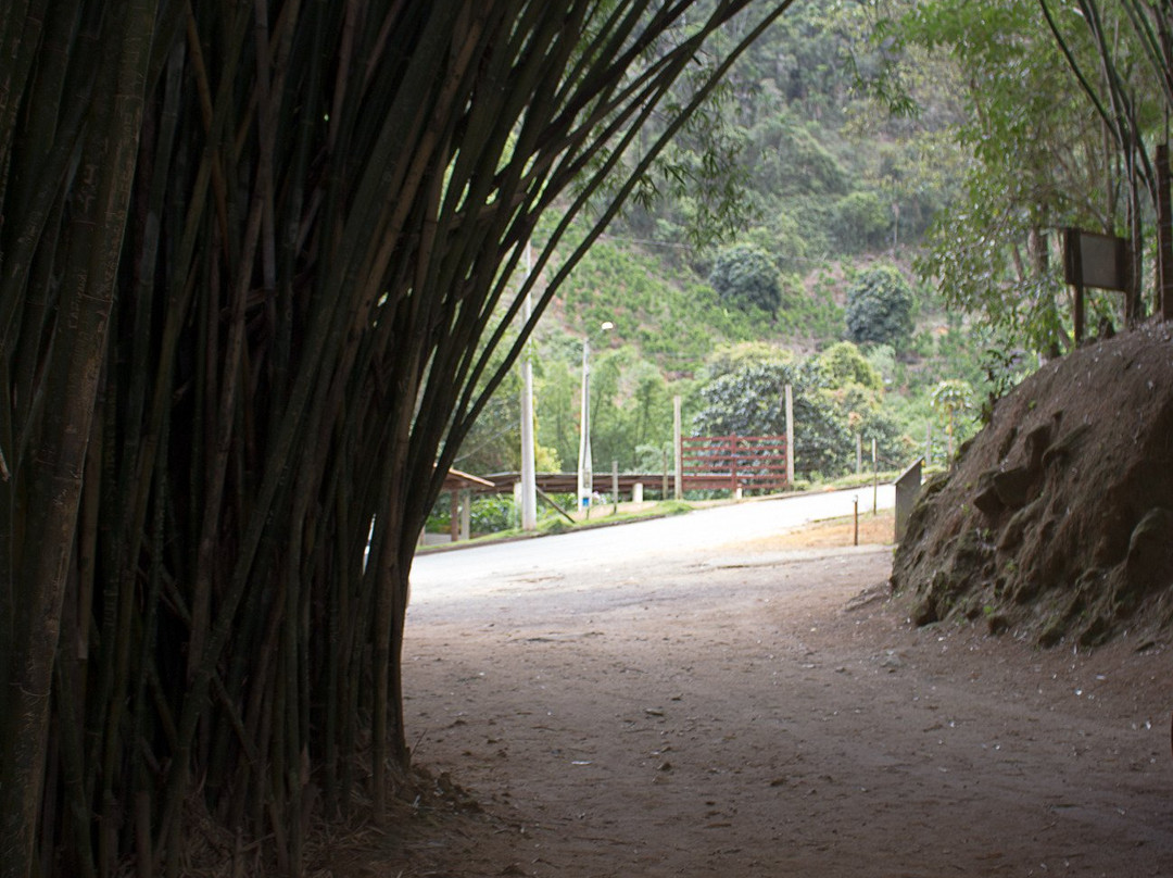 Cascata Do Galo景点图片