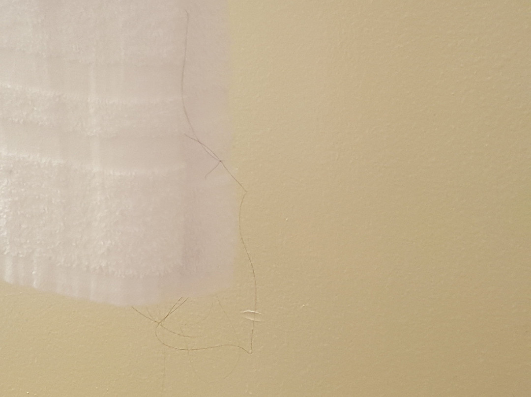 尤金大学旅馆&套房酒店主图