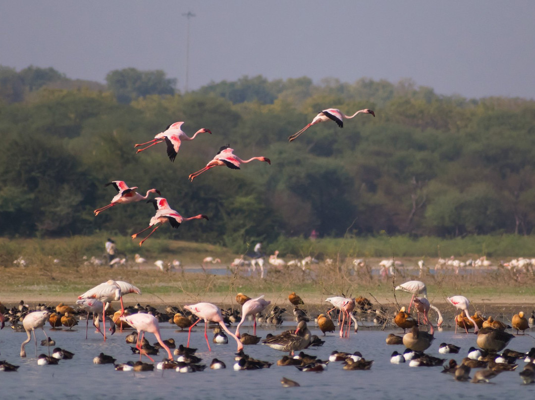 Thol Lake景点图片