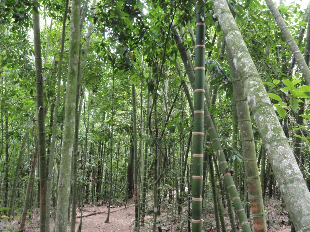 Jardín Botánico del Quindío-Calarca必去景点
