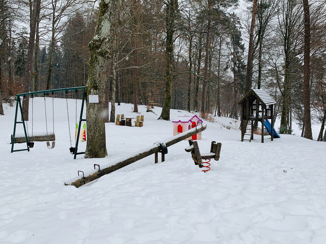 Steinsee-Moosach必去景点