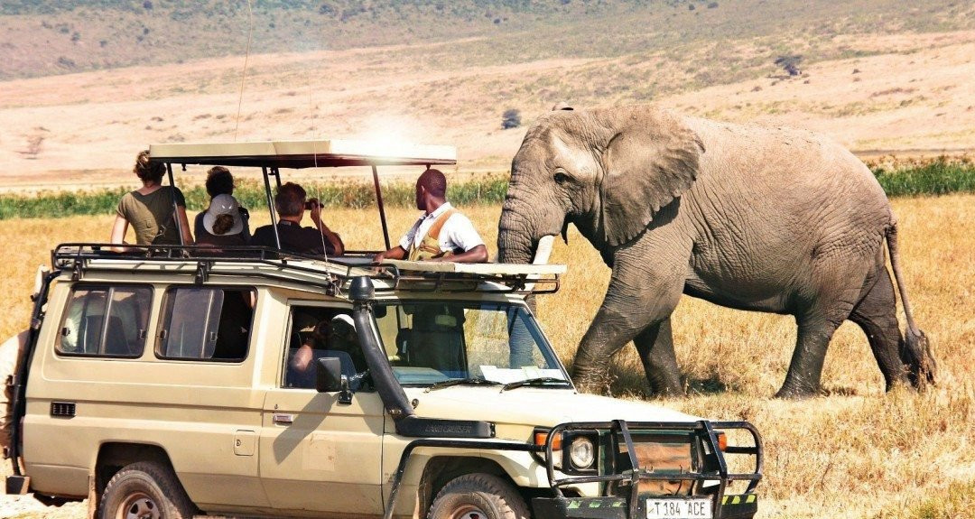 Halisi African Adventures-Dar es Salaam必去景点