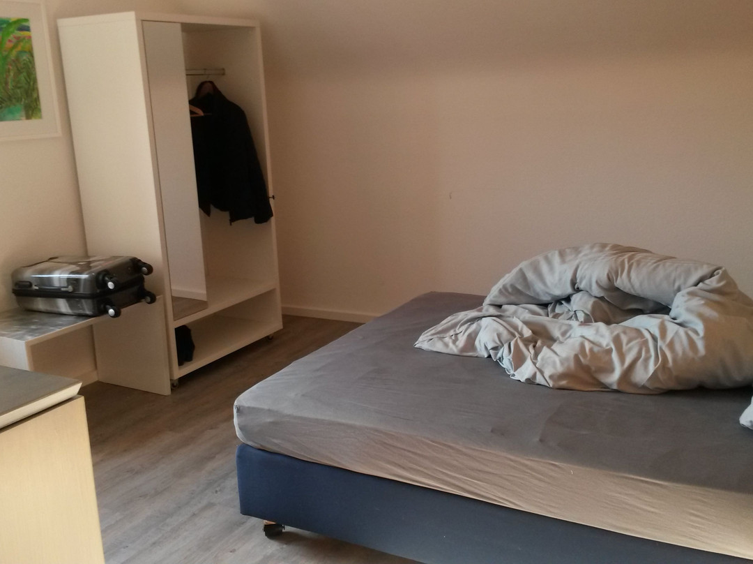 Hotel Badischer Hof主图
