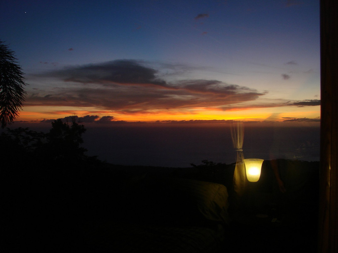 阿洛哈宾馆主图