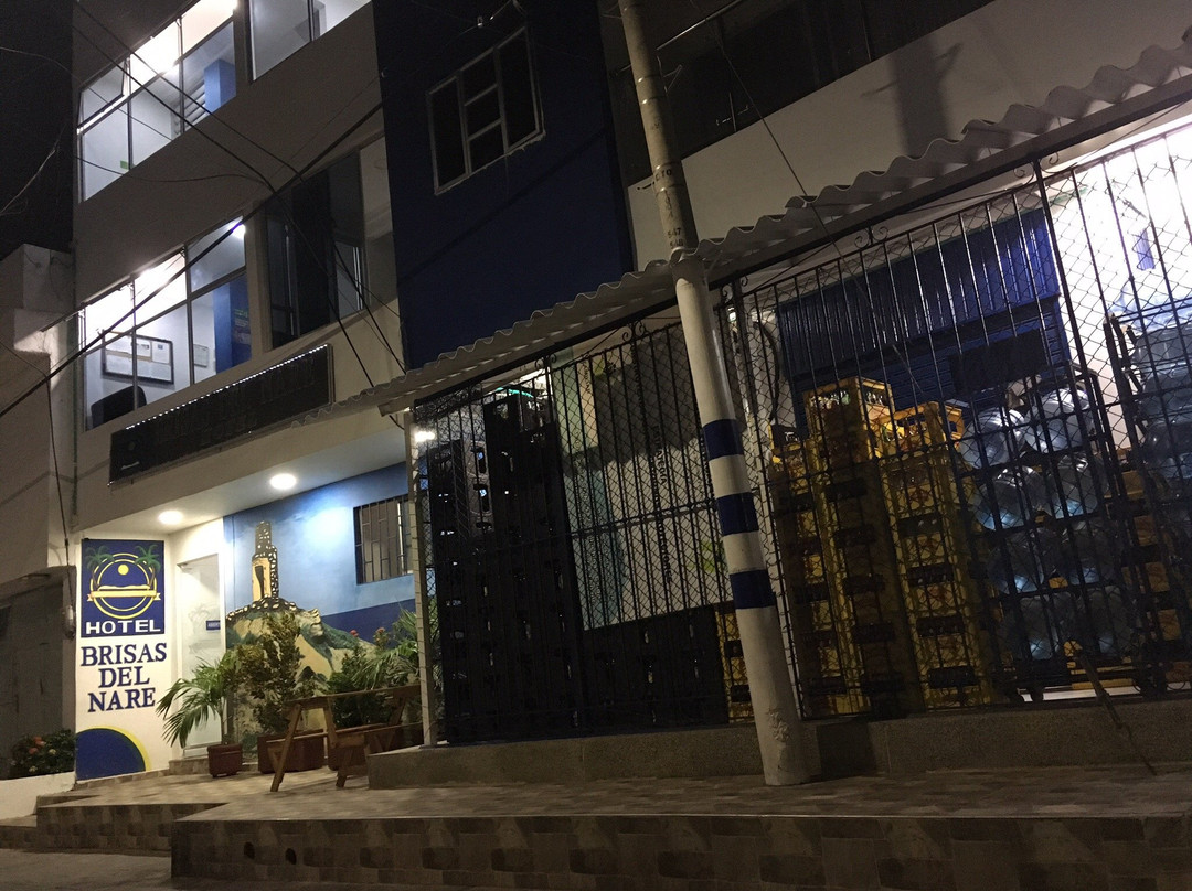 Brisas del Nare主图