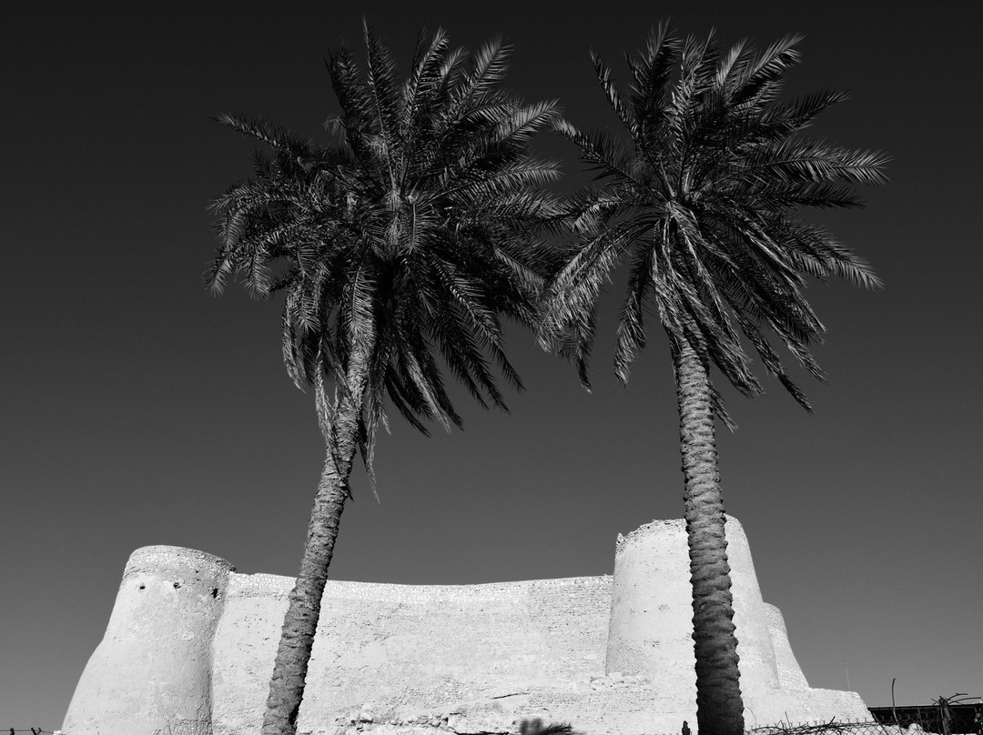 Tarout Castle-Al Qatif必去景点