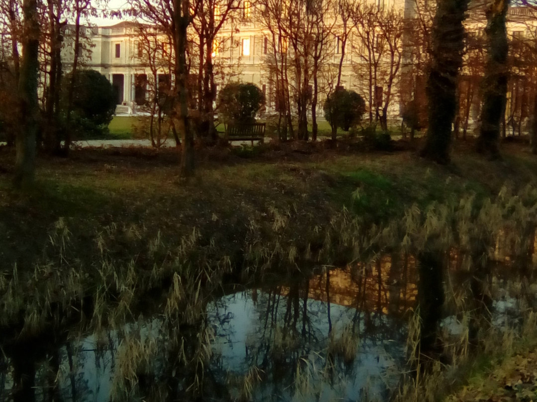 Villa Farsetti景点图片