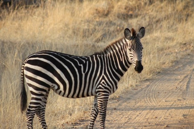 Awesome Wild Adventures-Dar es Salaam必去景点