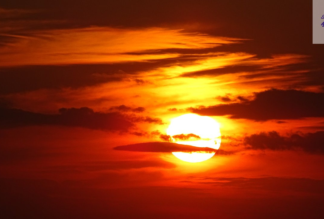 Best Western Plus East Side主图