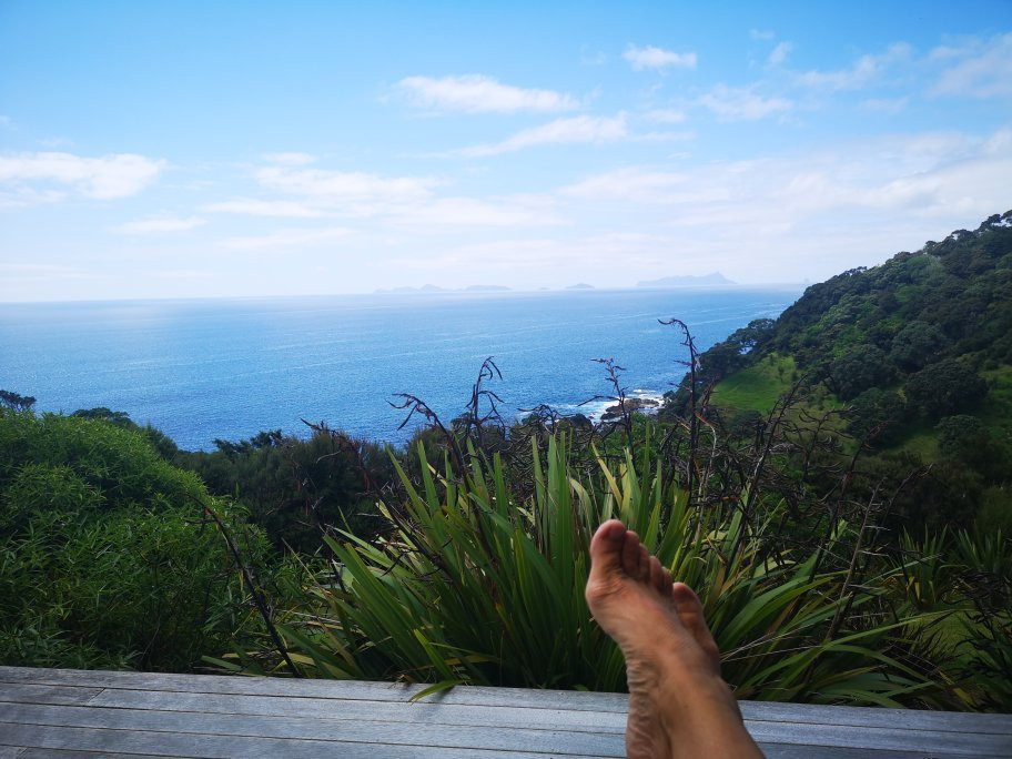 The Guesthouse at Taiharuru Farms Lodge主图